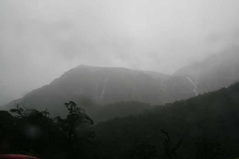 Nieuw-Zeeland 2011 - 1716